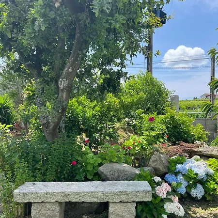 Apartamento Regueiro Da *