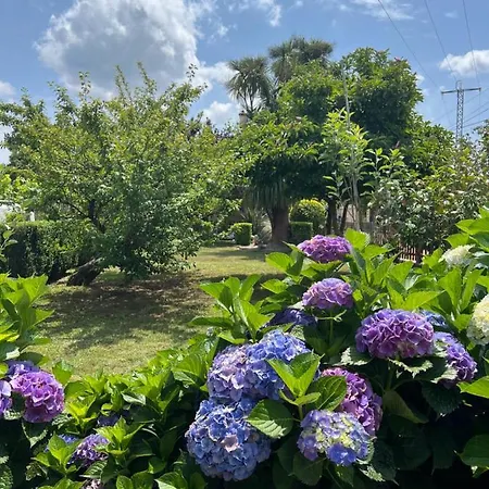 Apartamento Regueiro Da Meaño