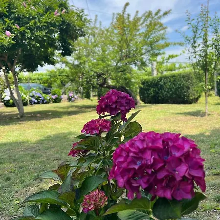 Appartement Regueiro Da