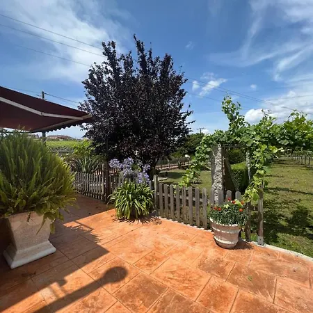 Regueiro Da * Meaño