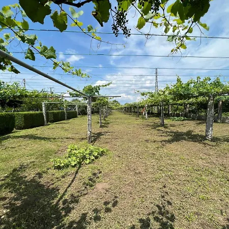 Regueiro Da Apartment Meano