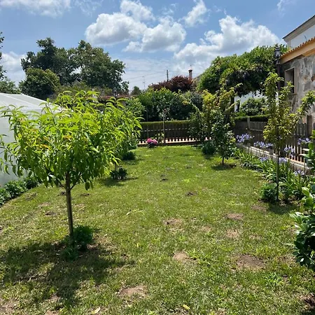 Regueiro Da Meaño