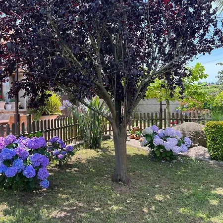 Appartement Regueiro Da *