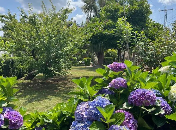 Apartmán Regueiro Da Meaño